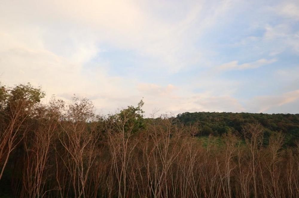 Ko Lanta 兰塔山旁小屋旅馆酒店 外观 照片